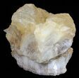 Dogtooth Calcite Crystal Cluster - Morocco #57386-2